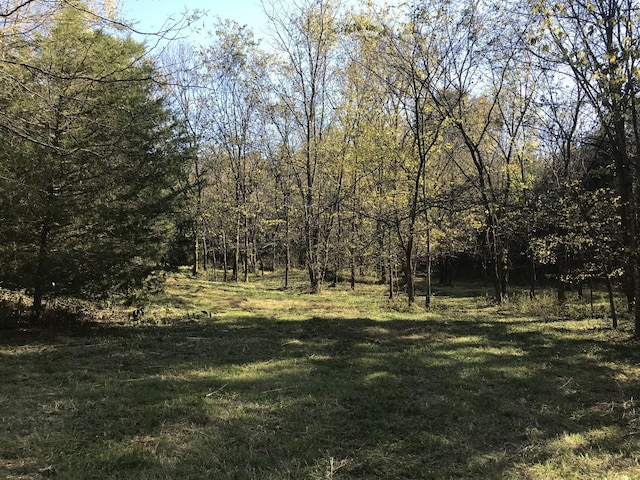 3588 Hartsville Pike, Castalian Springs, TN 37031 - photo 11