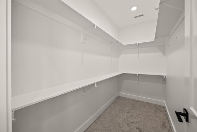 spacious closet featuring light colored carpet