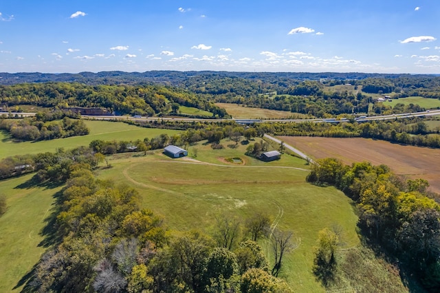 bird's eye view