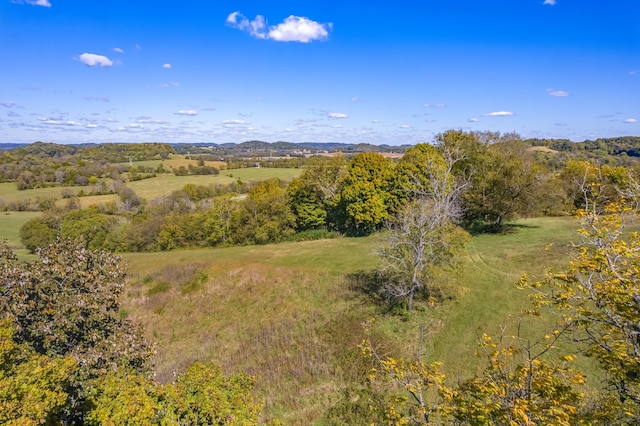 view of landscape with a rural view