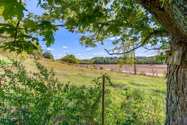 view of yard featuring a rural view