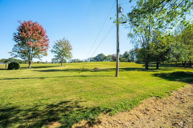 view of community featuring a lawn