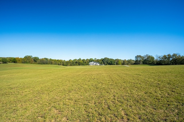 view of yard featuring a rural view