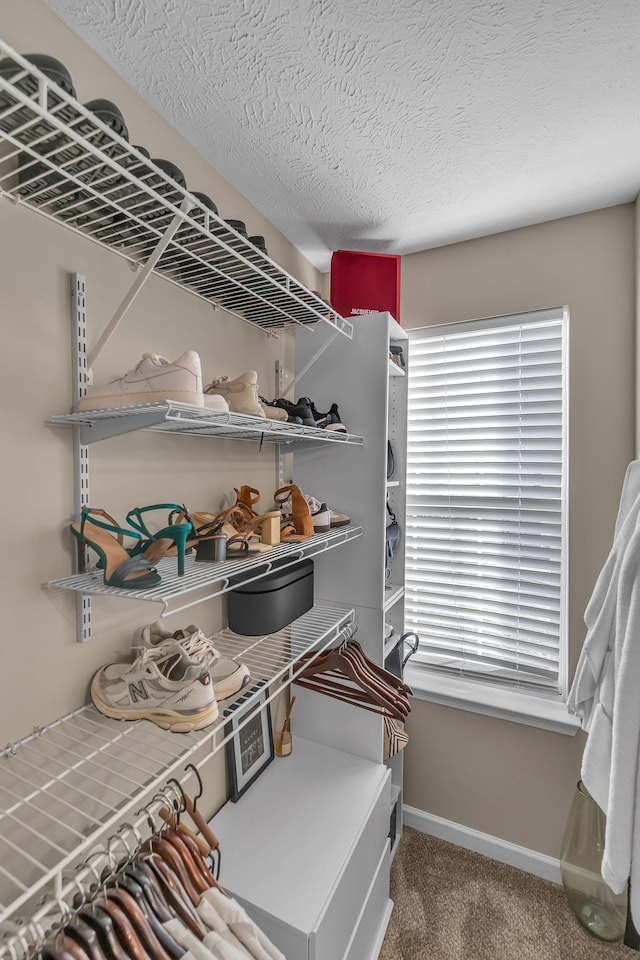 walk in closet with carpet