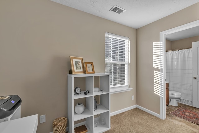 interior space featuring a textured ceiling, light carpet, multiple windows, and ensuite bath