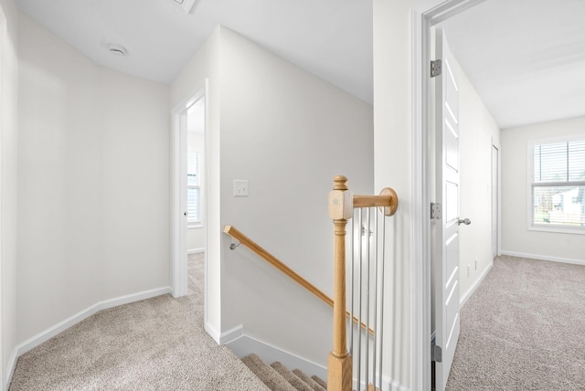 hallway with light carpet