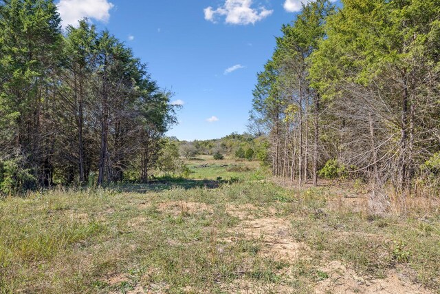 1 Double Branch Rd, Columbia, TN 38401