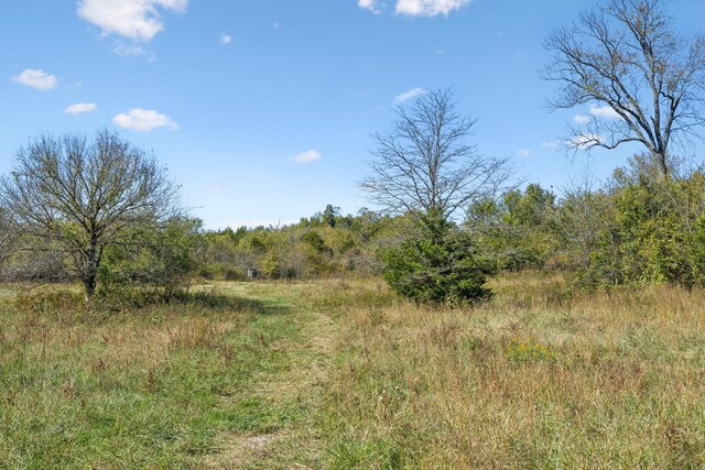 1 Double Branch Rd, Columbia, TN 38401