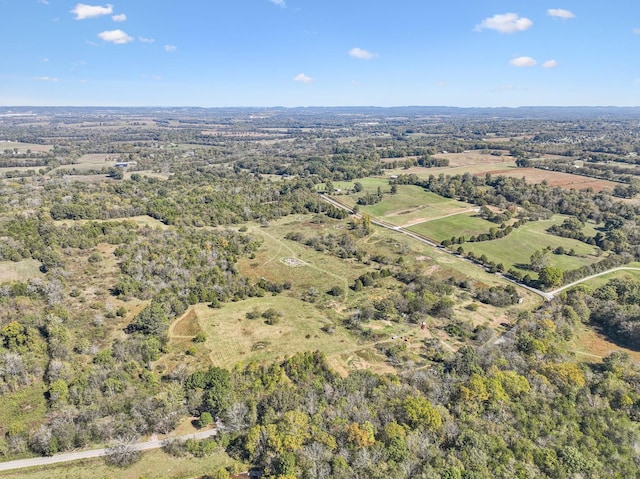 1 Double Branch Rd, Columbia, TN 38401