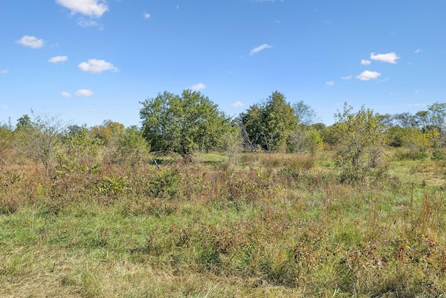 10 Double Branch Rd, Columbia, TN 38401