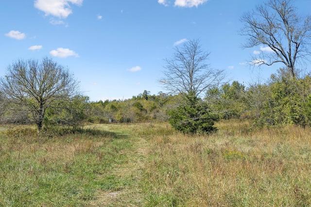 10 Double Branch Rd, Columbia, TN 38401