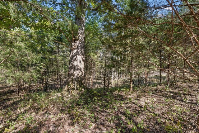 10 Double Branch Rd, Columbia, TN 38401