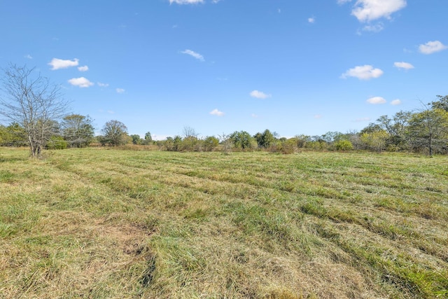 10 Double Branch Rd, Columbia, TN 38401