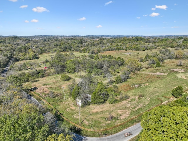 10 Double Branch Rd, Columbia, TN 38401