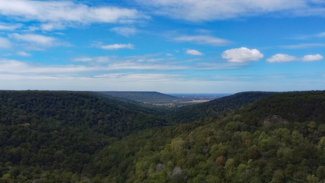 354 Little Trees Ramble, Monteagle TN, 37356 land for sale