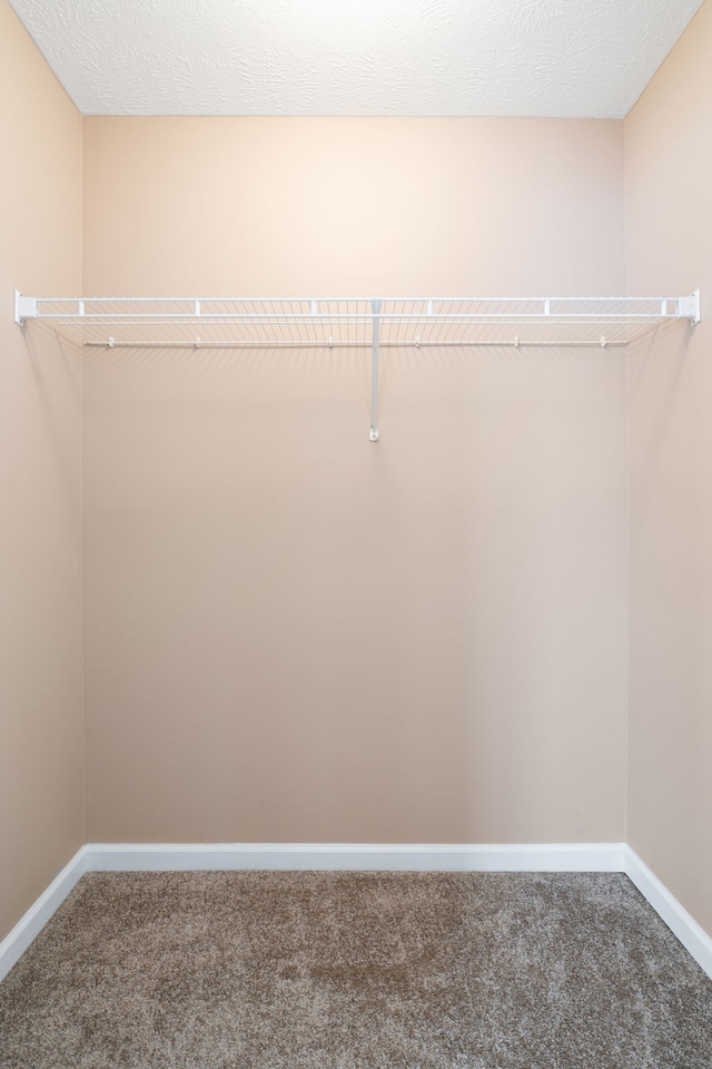 walk in closet featuring carpet