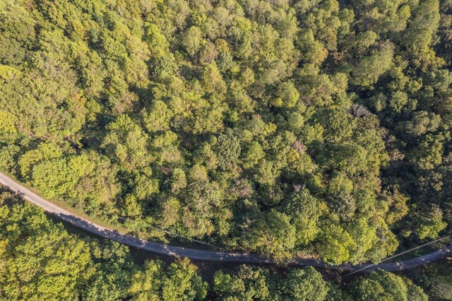 0 Cove Hollow Rd, Lancaster, TN 38569