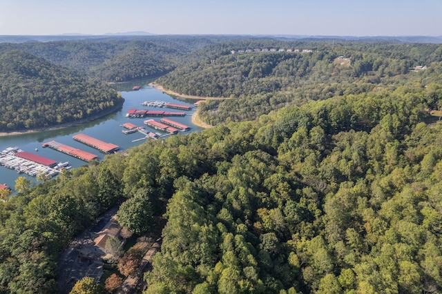 0 Cove Hollow Rd, Lancaster, TN 38569