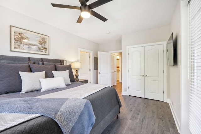 bedroom with multiple windows, wood-type flooring, a closet, and ceiling fan