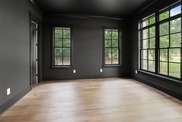 empty room featuring light hardwood / wood-style floors and crown molding