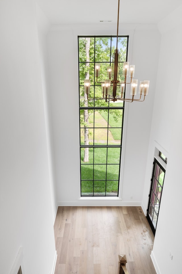 interior space featuring light hardwood / wood-style floors and plenty of natural light