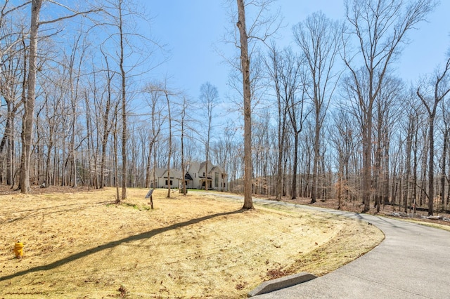 5104 Cobbler Ridge Ct, Franklin, TN 37064 - view of road featuring driveway
