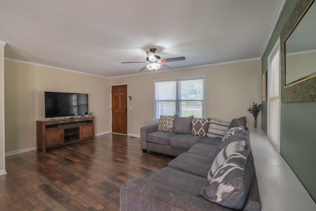 living room with crown molding, dark hardwood / wood-style floors, and ceiling fan