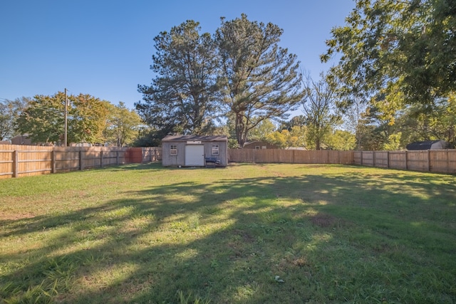 view of yard with a shed