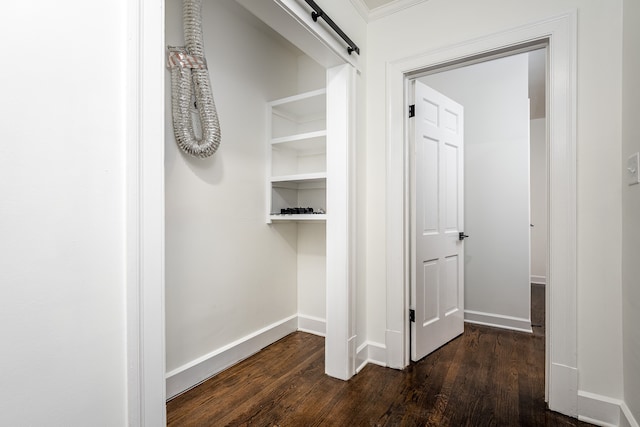 corridor featuring dark wood-type flooring and a barn door