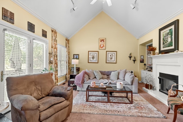 living room with track lighting, ceiling fan, high vaulted ceiling, ornamental molding, and light colored carpet