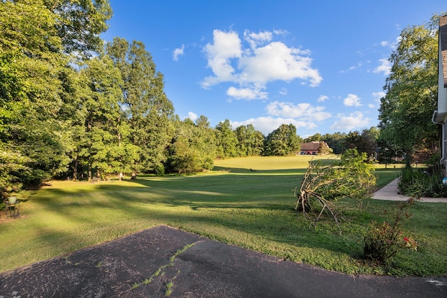 surrounding community featuring a yard