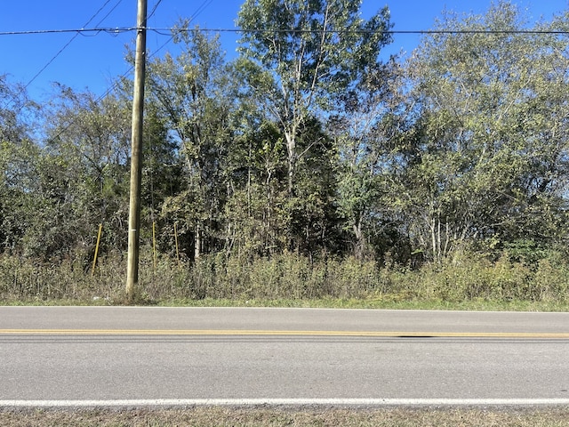 0 Leanna Central Valley Rd, Murfreesboro TN, 37129 land for sale