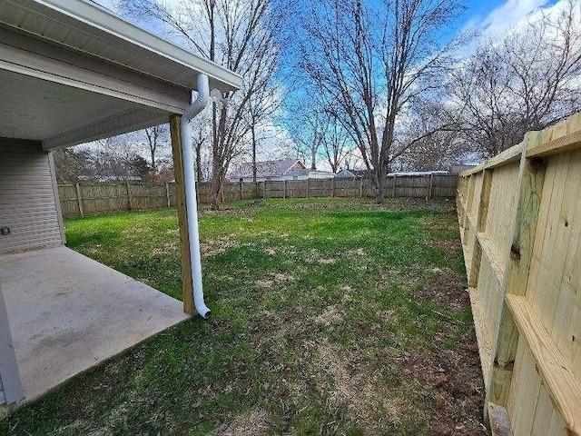 view of yard featuring a patio