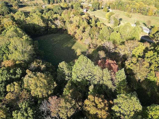 1120 Old Mount Vernon Rd, Bethpage TN, 37022 land for sale