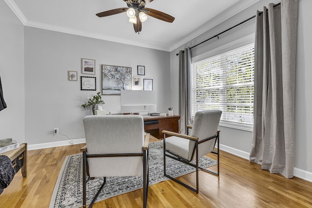 office space with light hardwood / wood-style flooring, ceiling fan, and crown molding