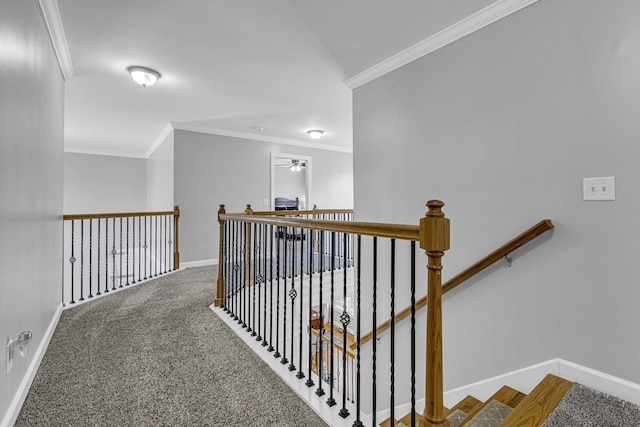 corridor featuring ornamental molding and carpet floors