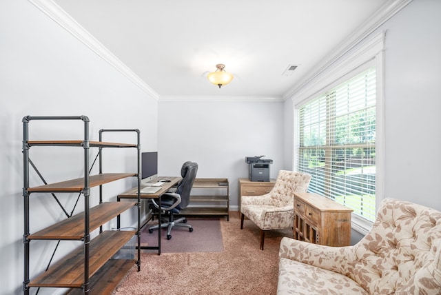 carpeted office featuring a wealth of natural light and crown molding