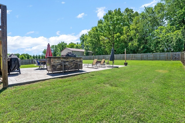 view of yard featuring a patio and an outdoor kitchen