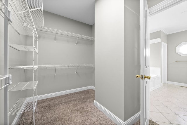 walk in closet with light colored carpet