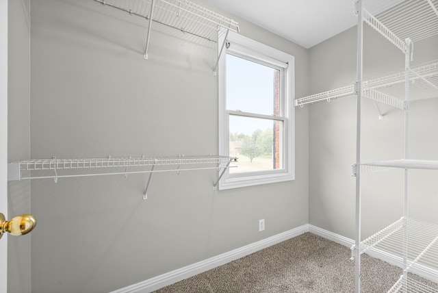 spacious closet with carpet floors