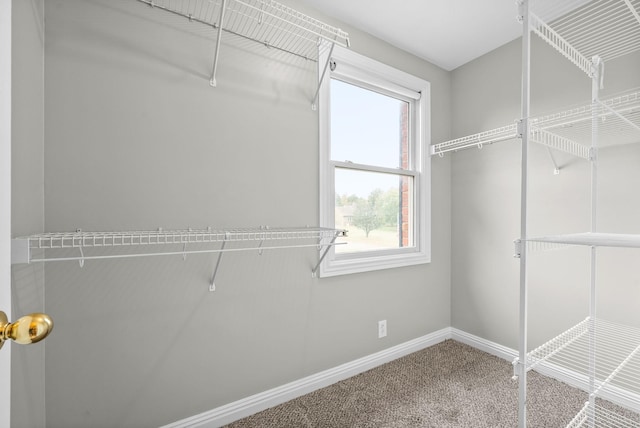 2264 Lock B Rd N, Clarksville, TN 37043 - walk in closet with carpet floors