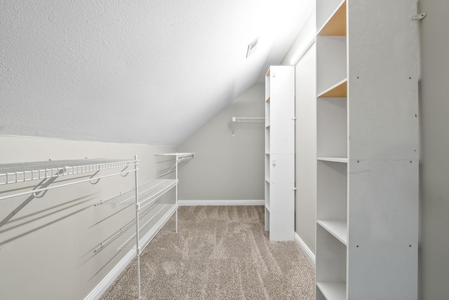 2264 Lock B Rd N, Clarksville, TN 37043 - spacious closet with carpet and lofted ceiling