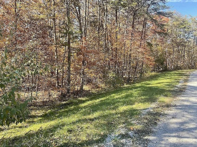 11 Camp Creek Rd, Spencer TN, 38585 land for sale