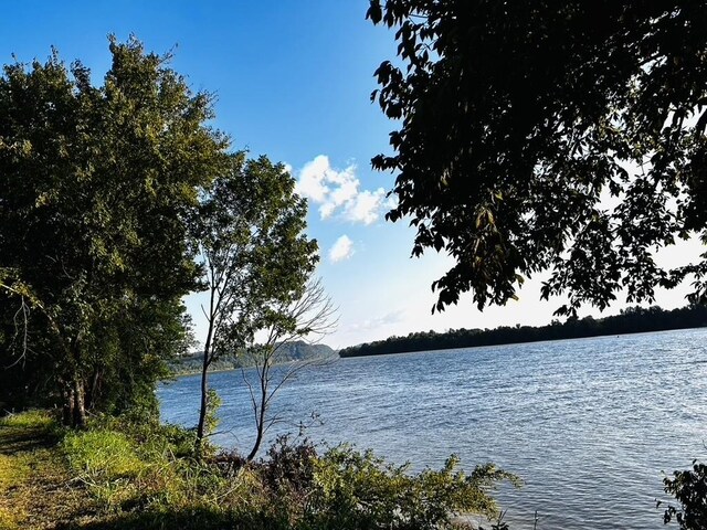 2 Kellys Landing Dr, Linden, TN 37096