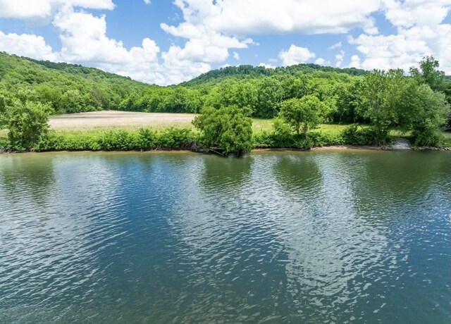 2 Kellys Landing Dr, Linden, TN 37096
