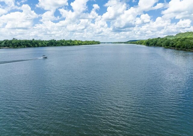 2 Kellys Landing Dr, Linden, TN 37096