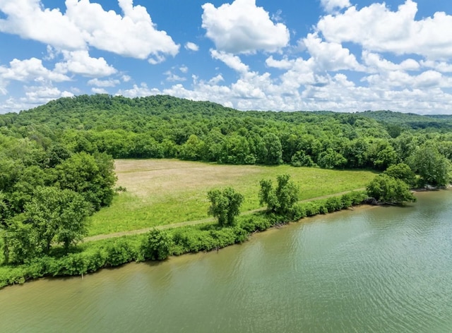 2 Kellys Landing Dr, Linden TN, 37096 land for sale