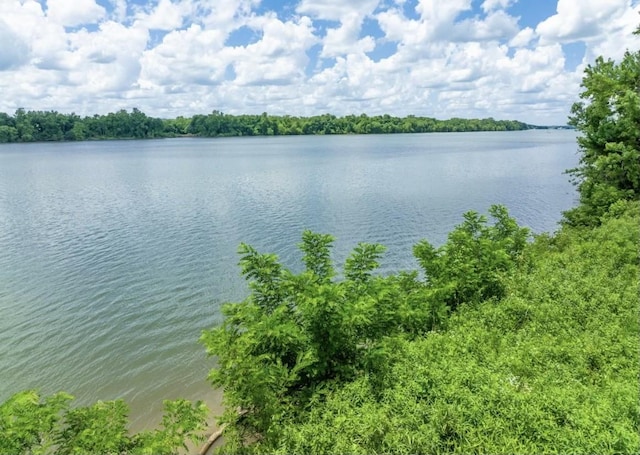1 Kellys Landing Rd, Linden, TN 37096