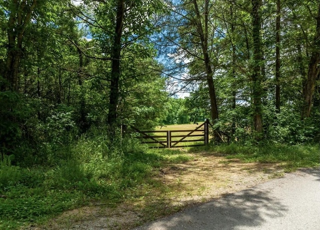 1 Kellys Landing Rd, Linden, TN 37096