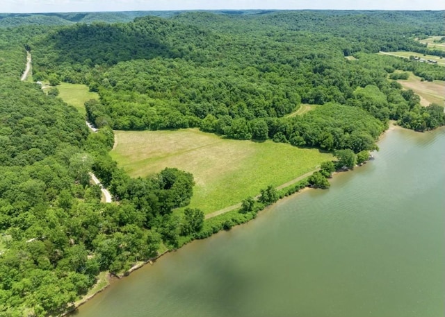 1 Kellys Landing Rd, Linden, TN 37096